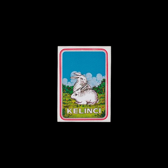 Kelinci
